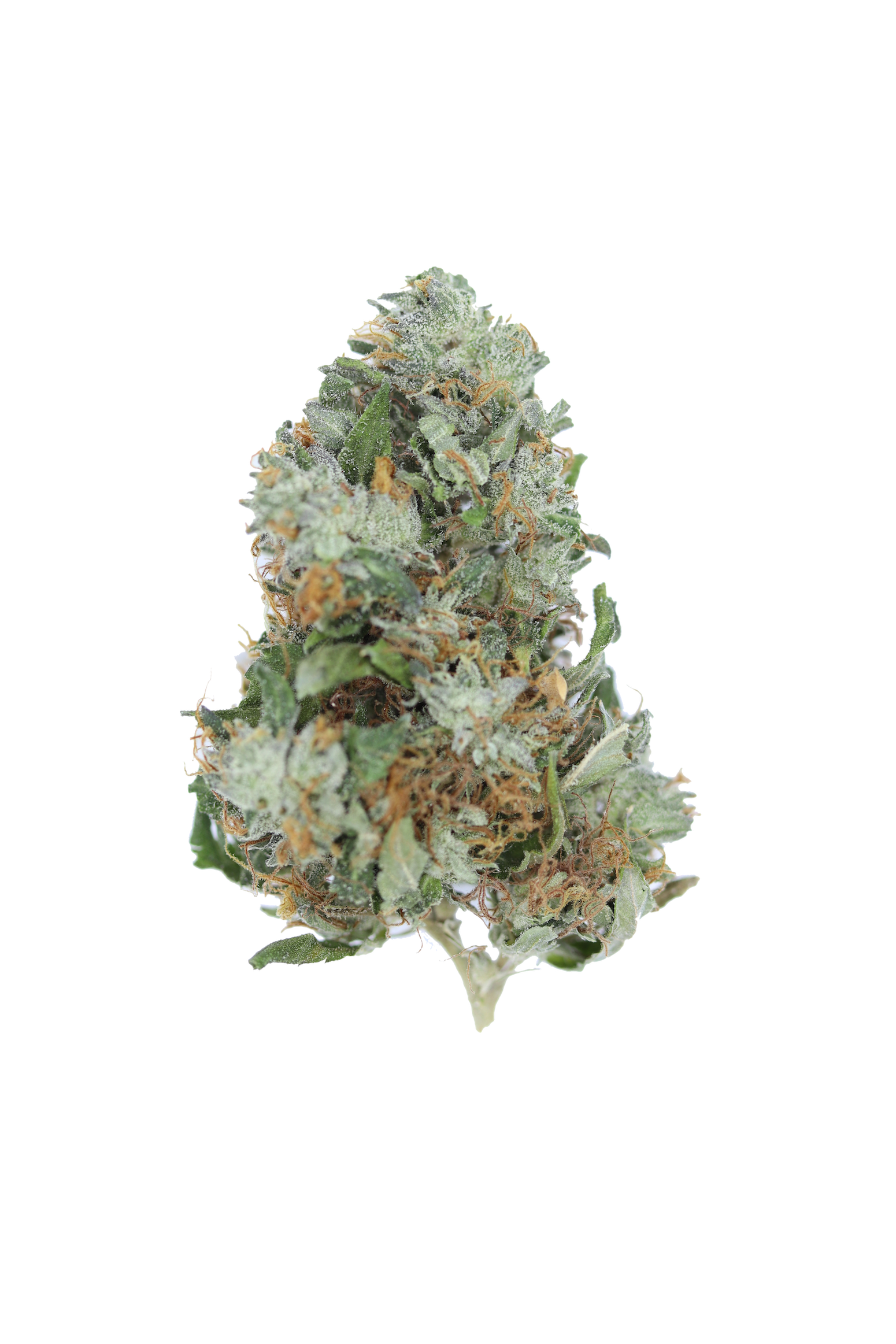 Bubba Kush Bubba Kush