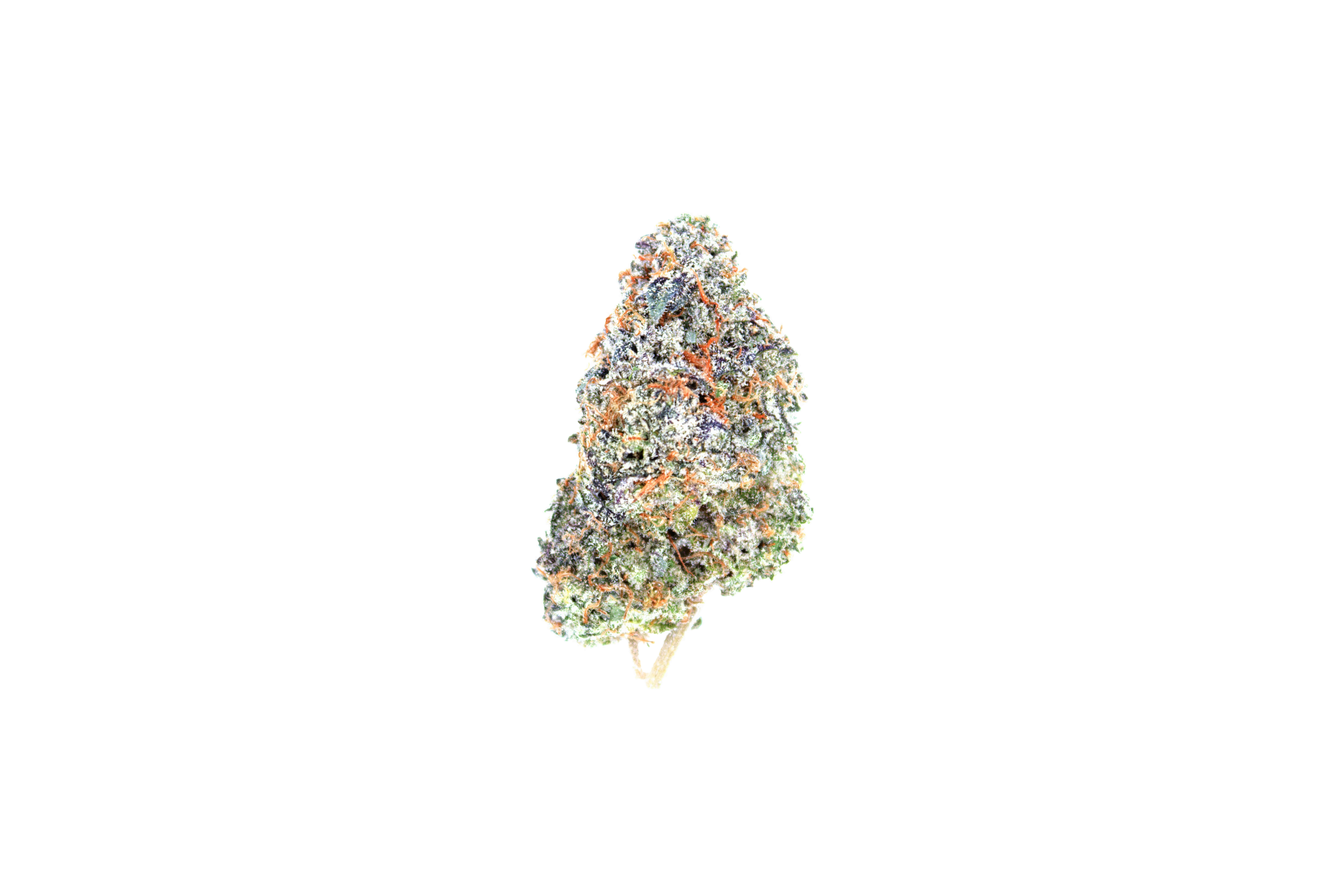 Grape Crush Scaled cutout Grape Crush