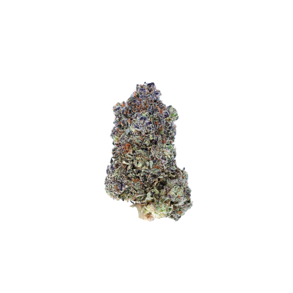 Gummy Shark Bud Gummy Shark