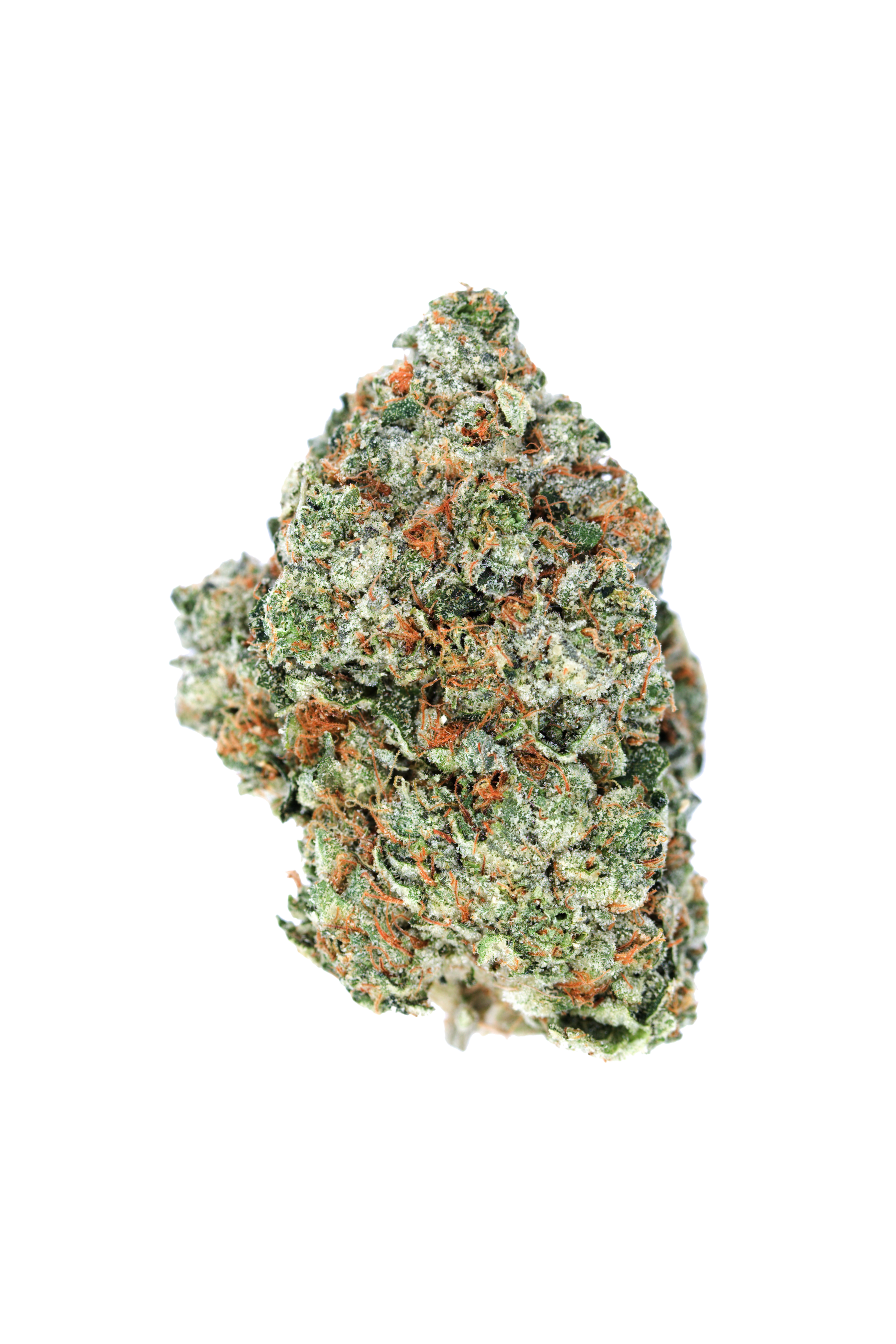 LA Gas Bud cutout LA Gas