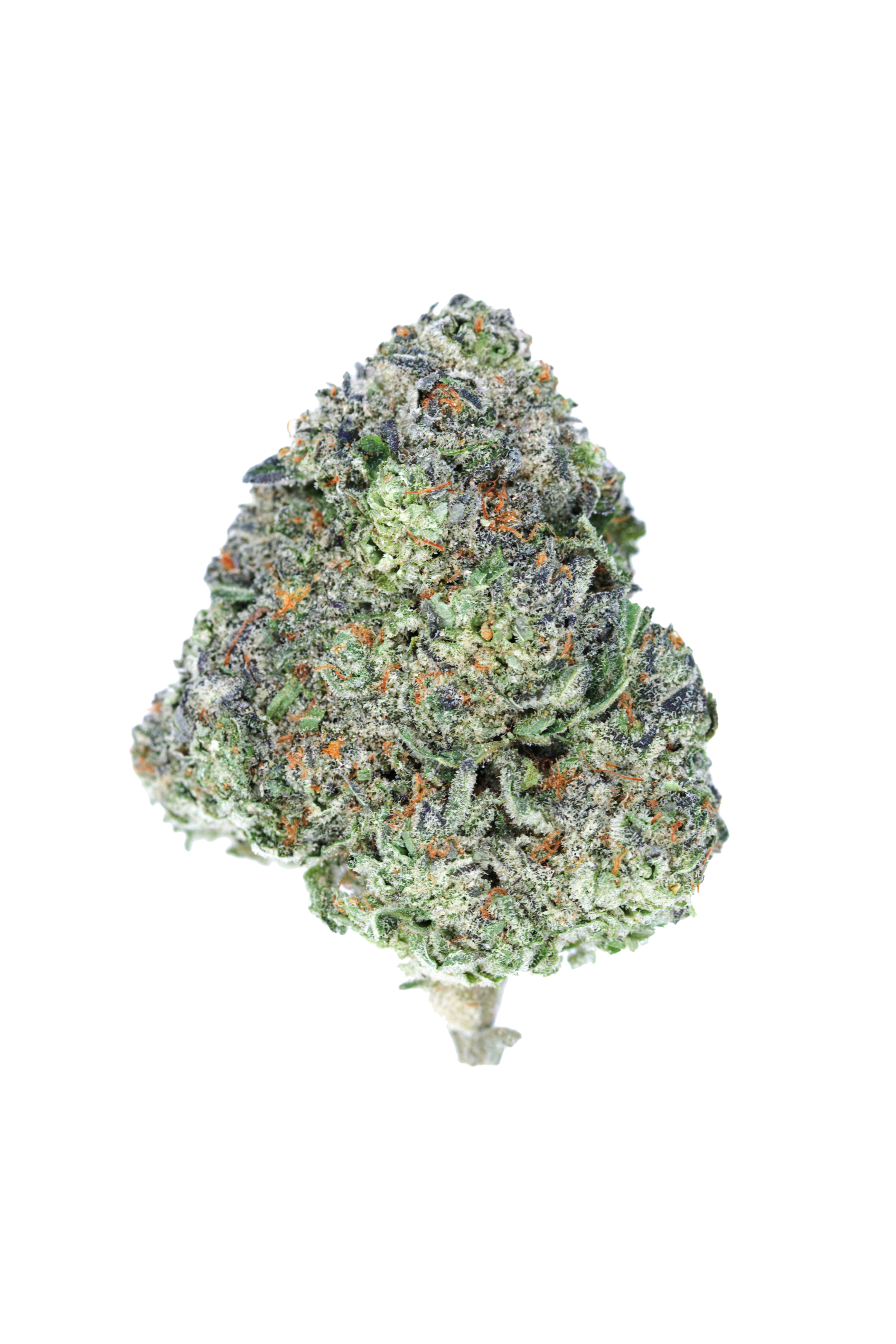 LA Runtz bud cutout LA Runtz