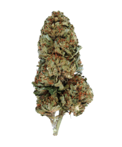 Buy Lemon Skunk Online