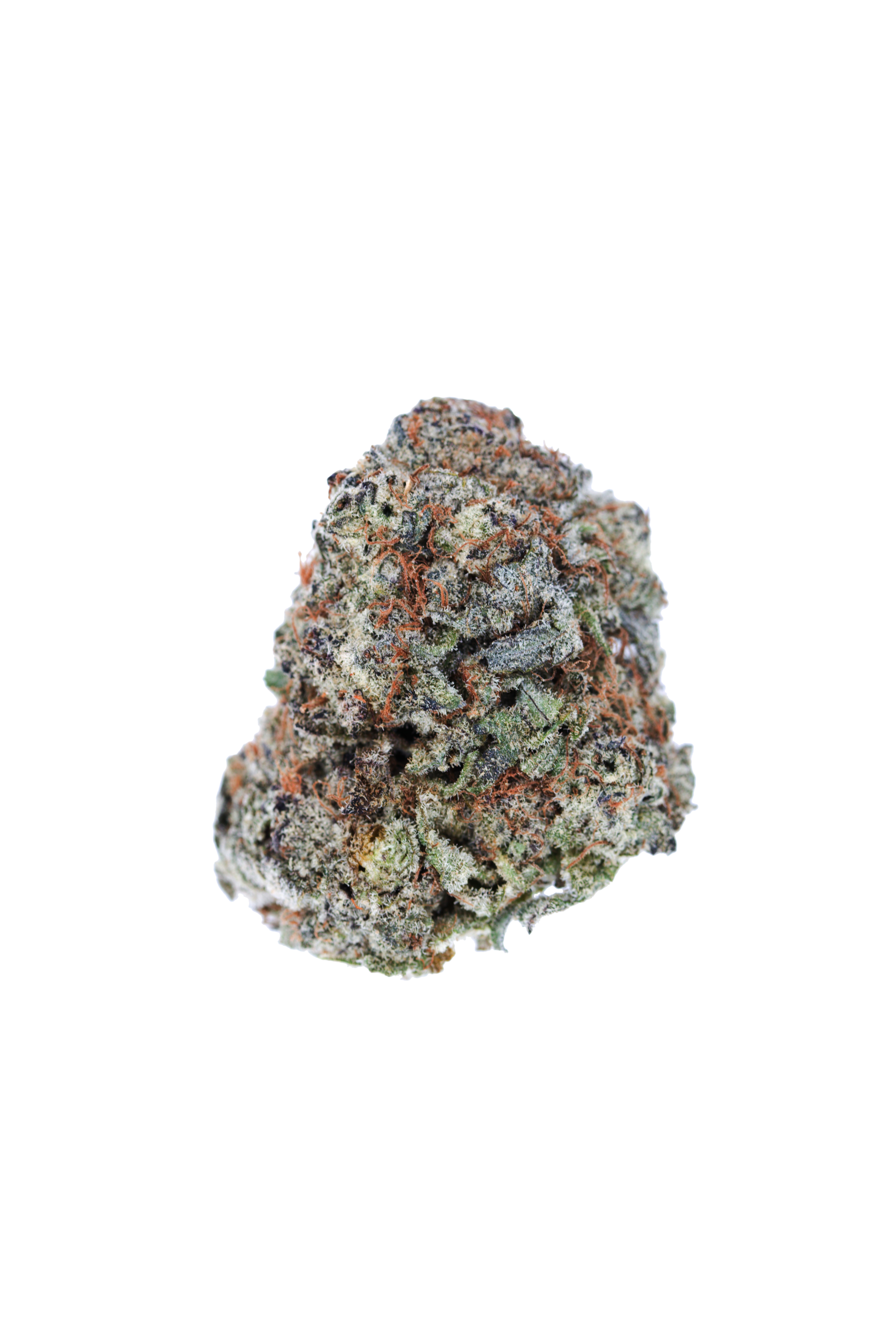 Lemon Twist bud cutout Lemon Twist