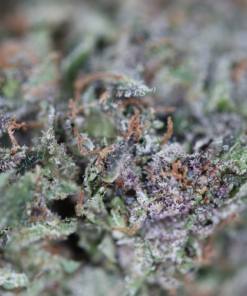 Lindsay OG Bag