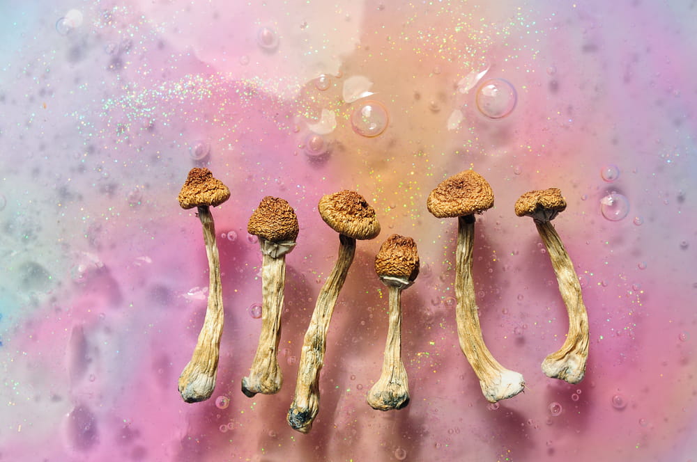 Magic Mushrooms For Magic Mushrooms For Anxiety