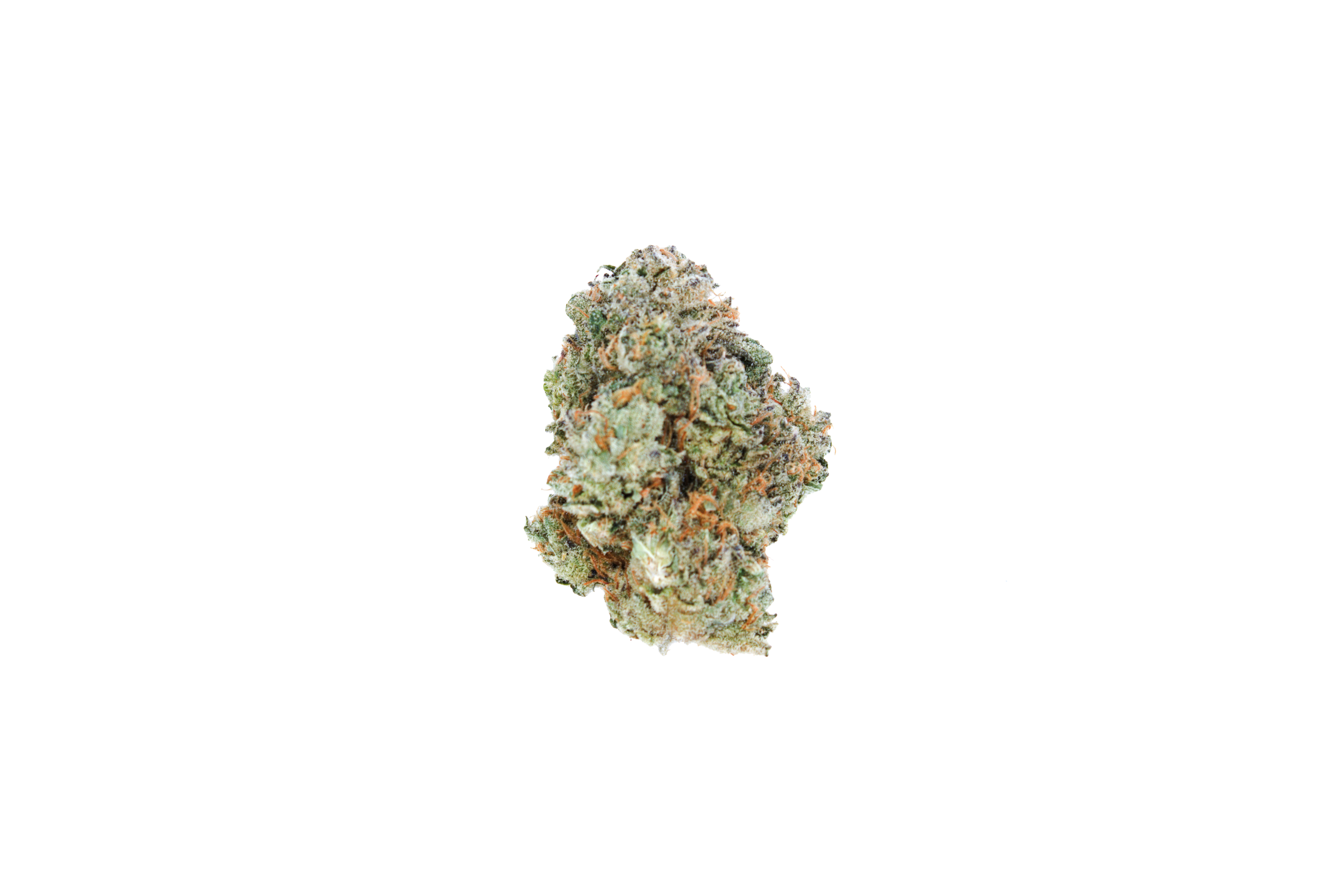 Rainbow runtz bud cutout Rainbow Runtz