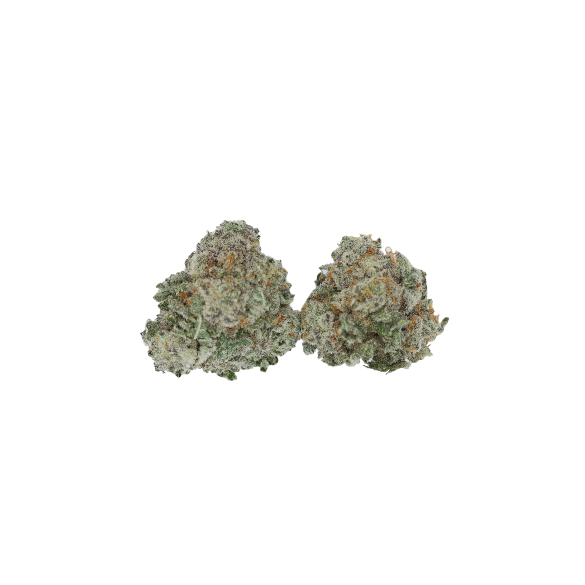 King Tart Smalls bud King Tart Smalls