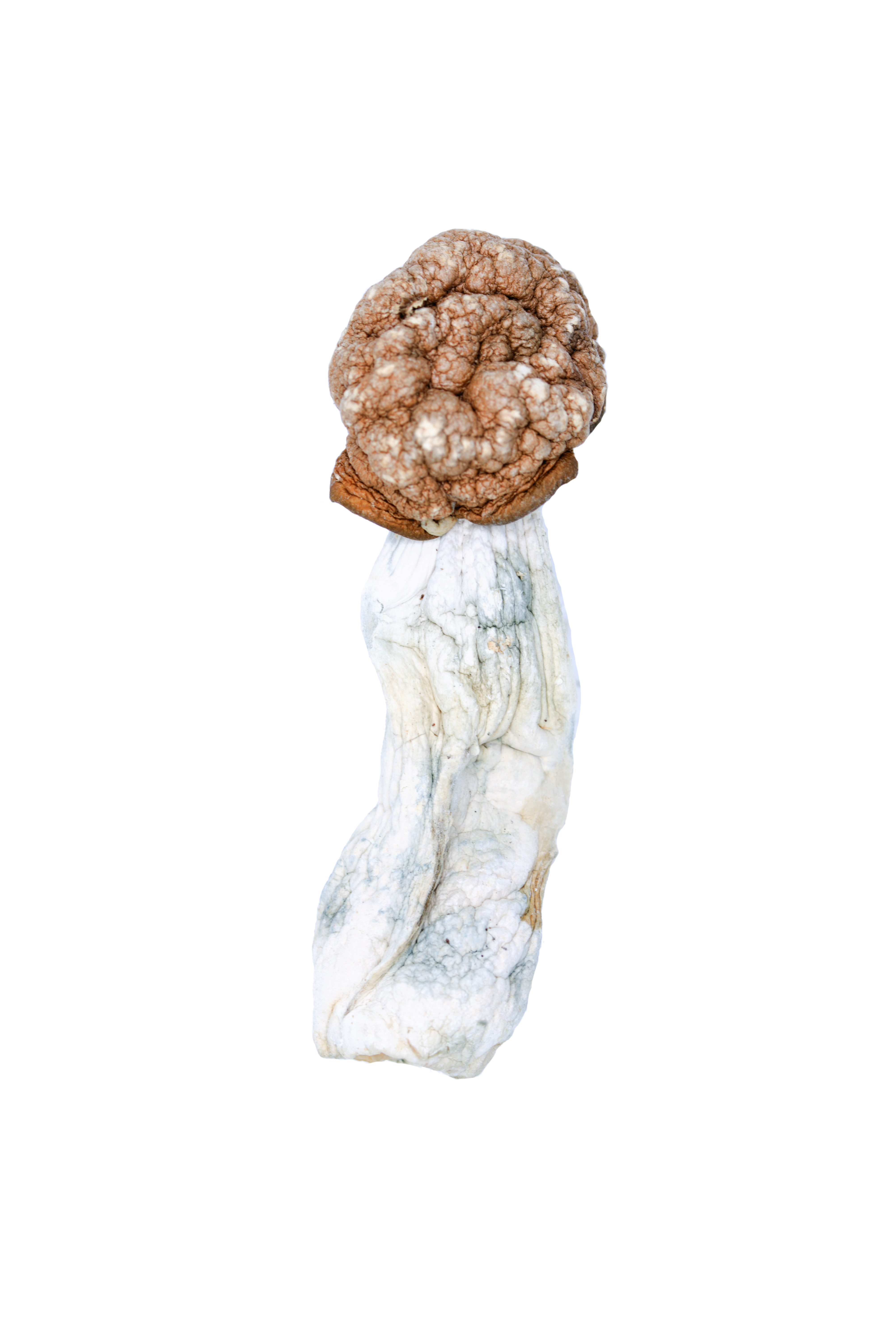 Melmac cutout Melmac