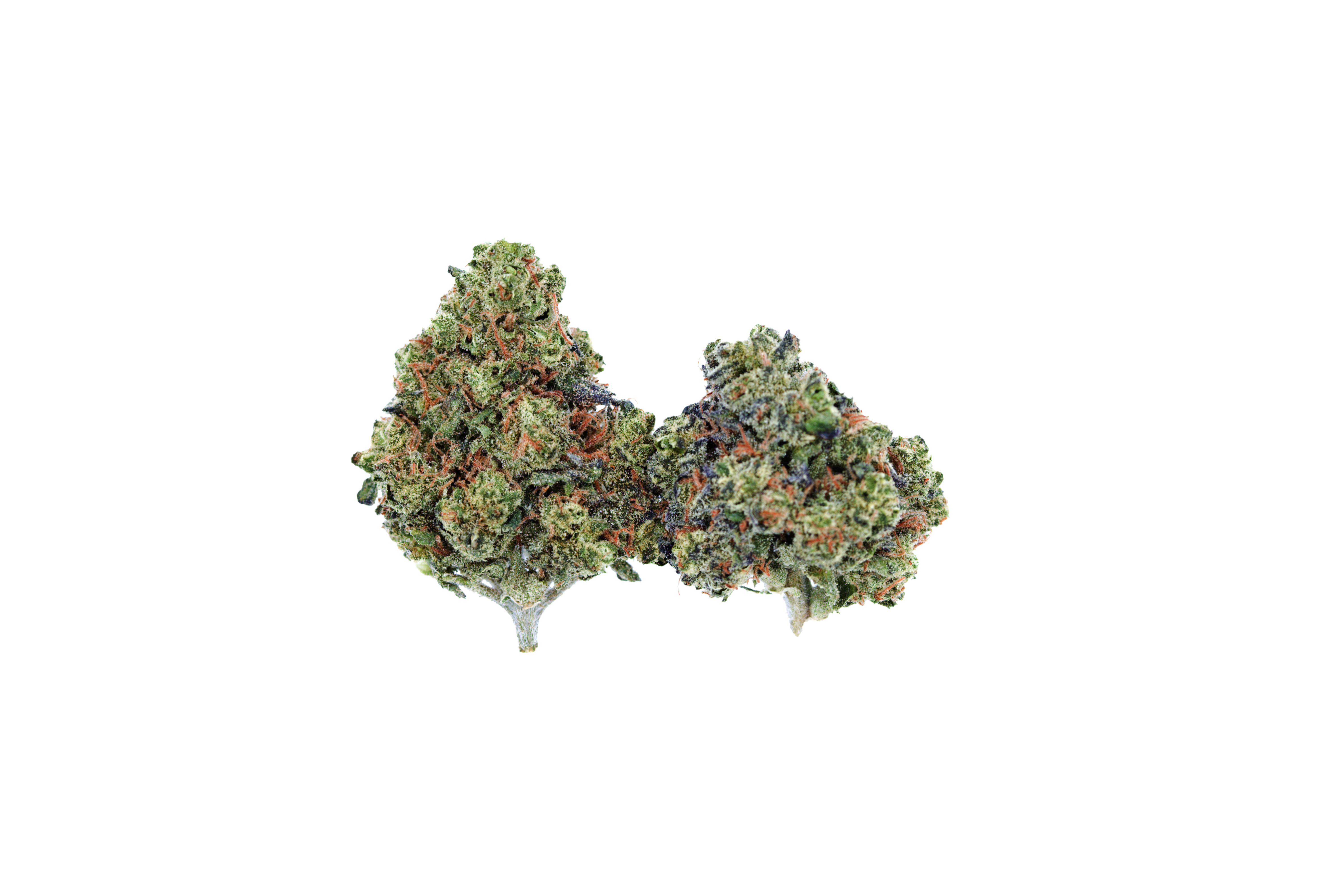 OG Chem Smalls Bud cutout OG Chem Smalls