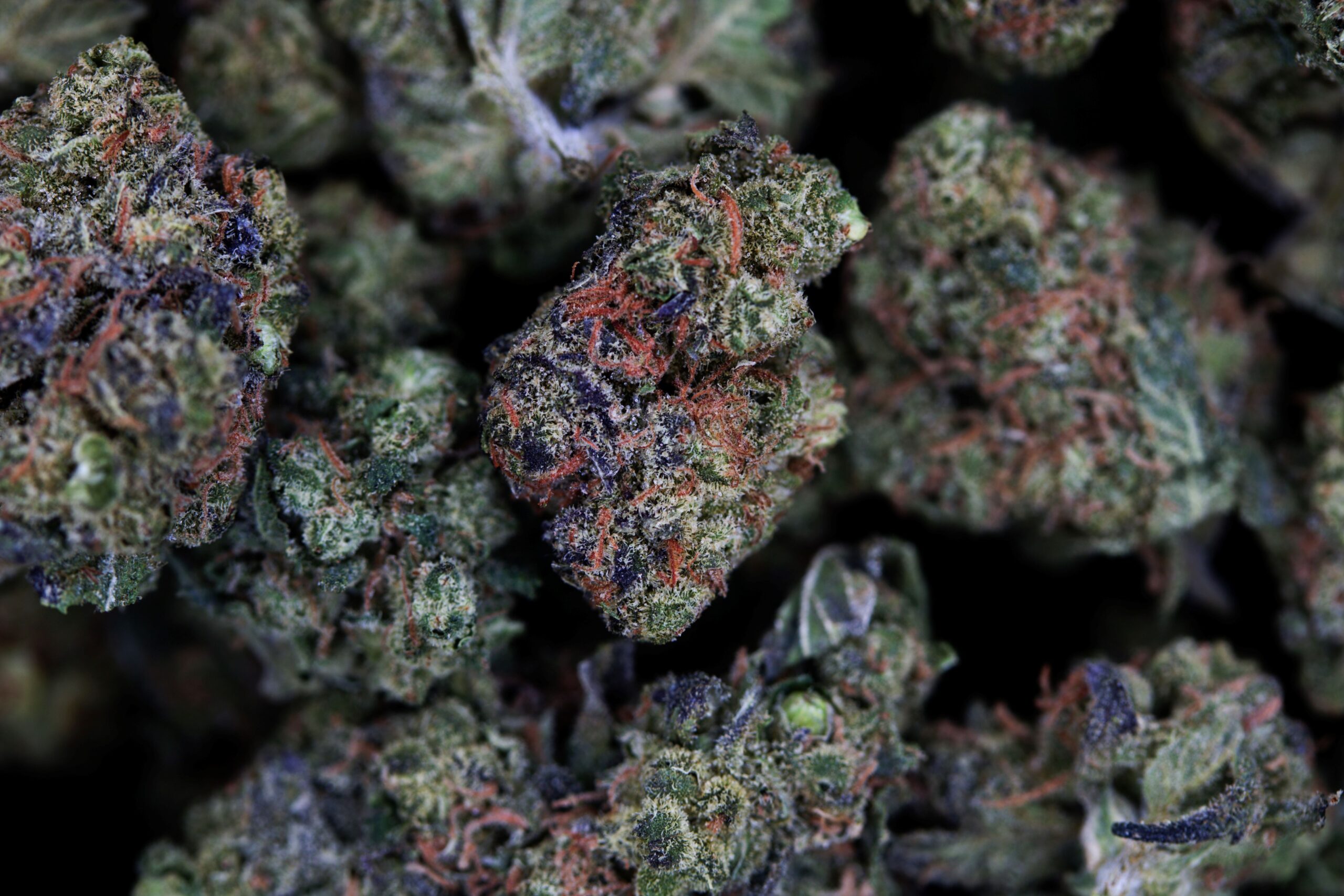 OG Chem Smalls bag scaled OG Chem Smalls