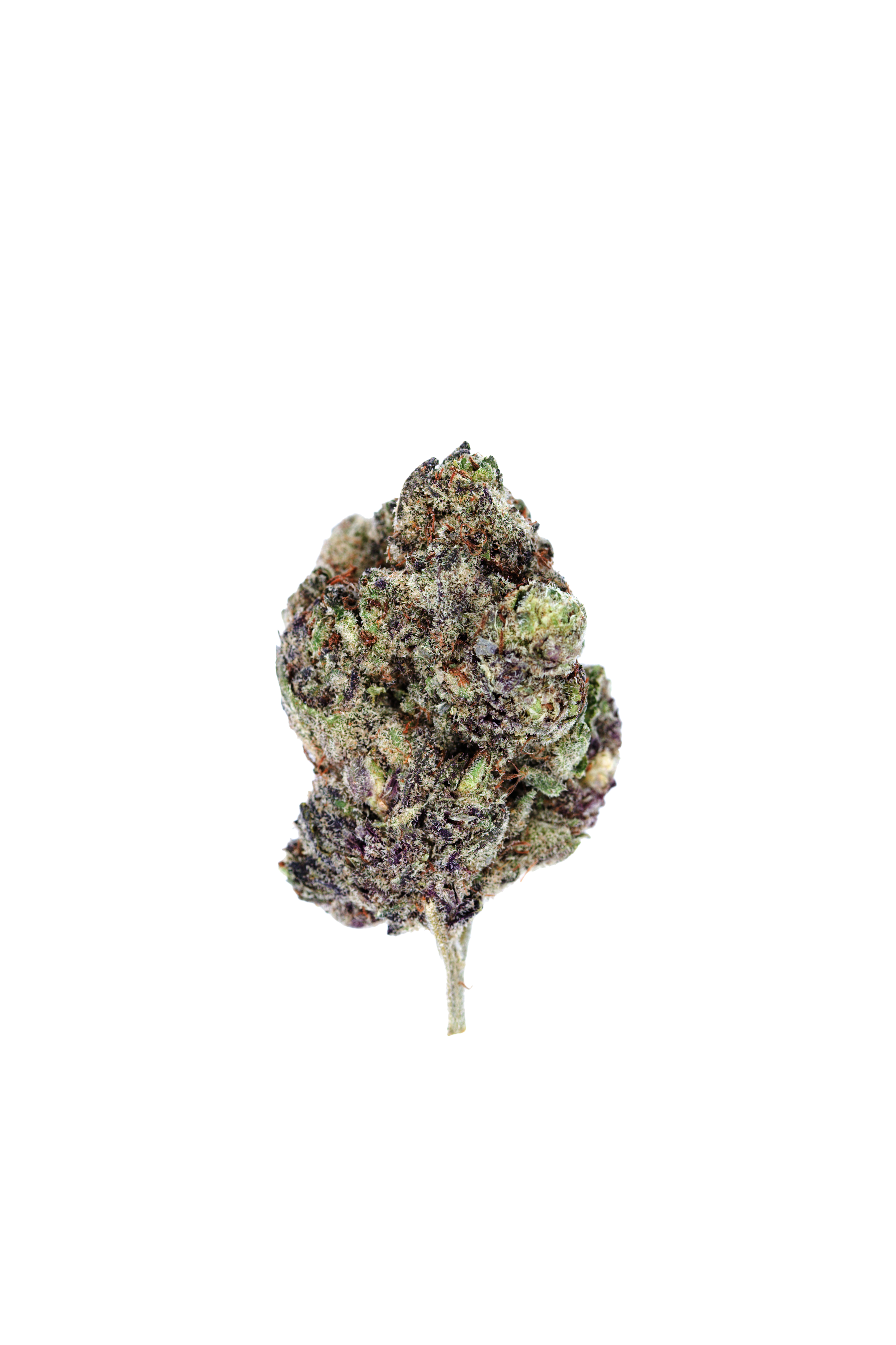 Rockstar Punch Bud Rockstar Punch