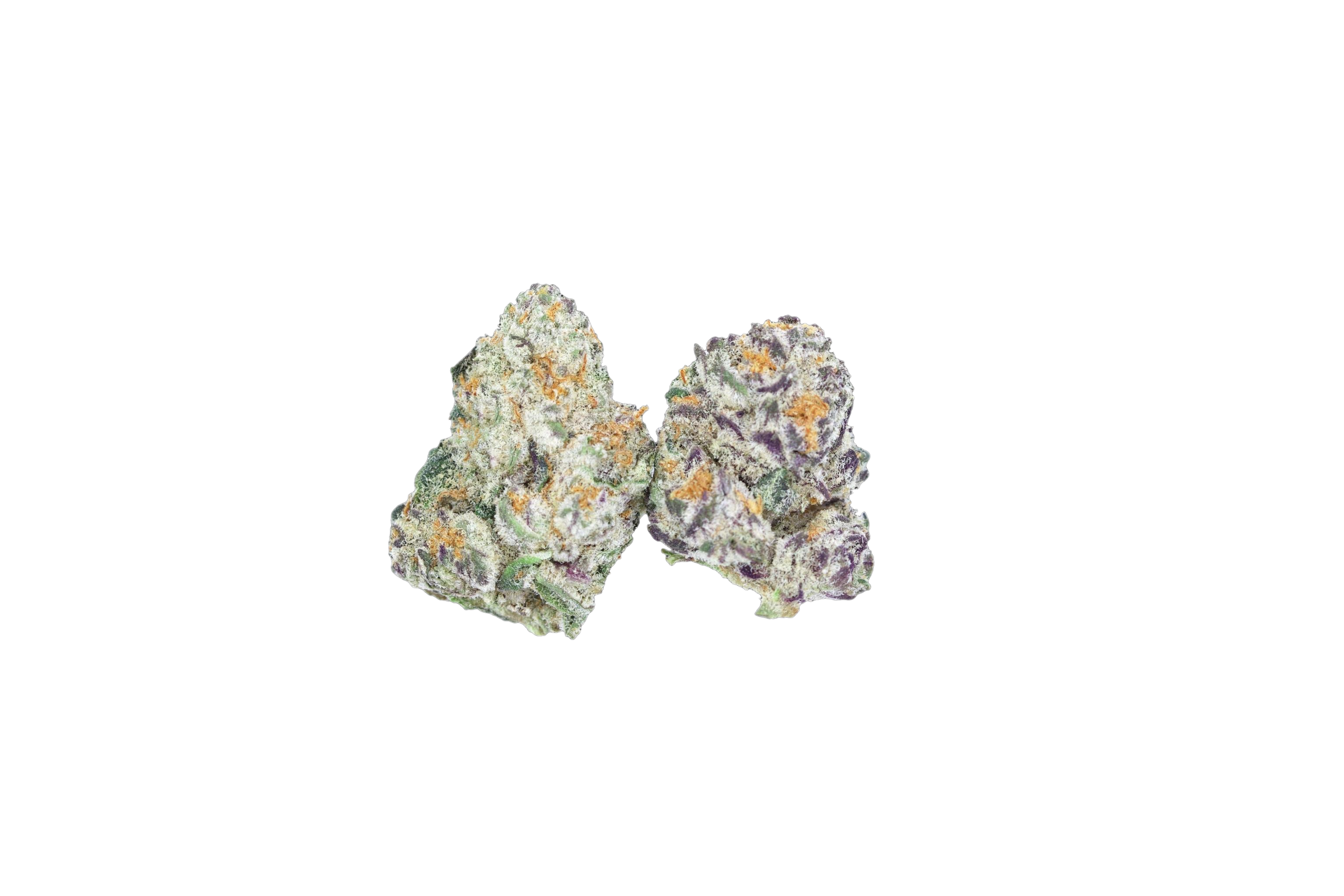 TC cutout Truffles n Cream Smalls