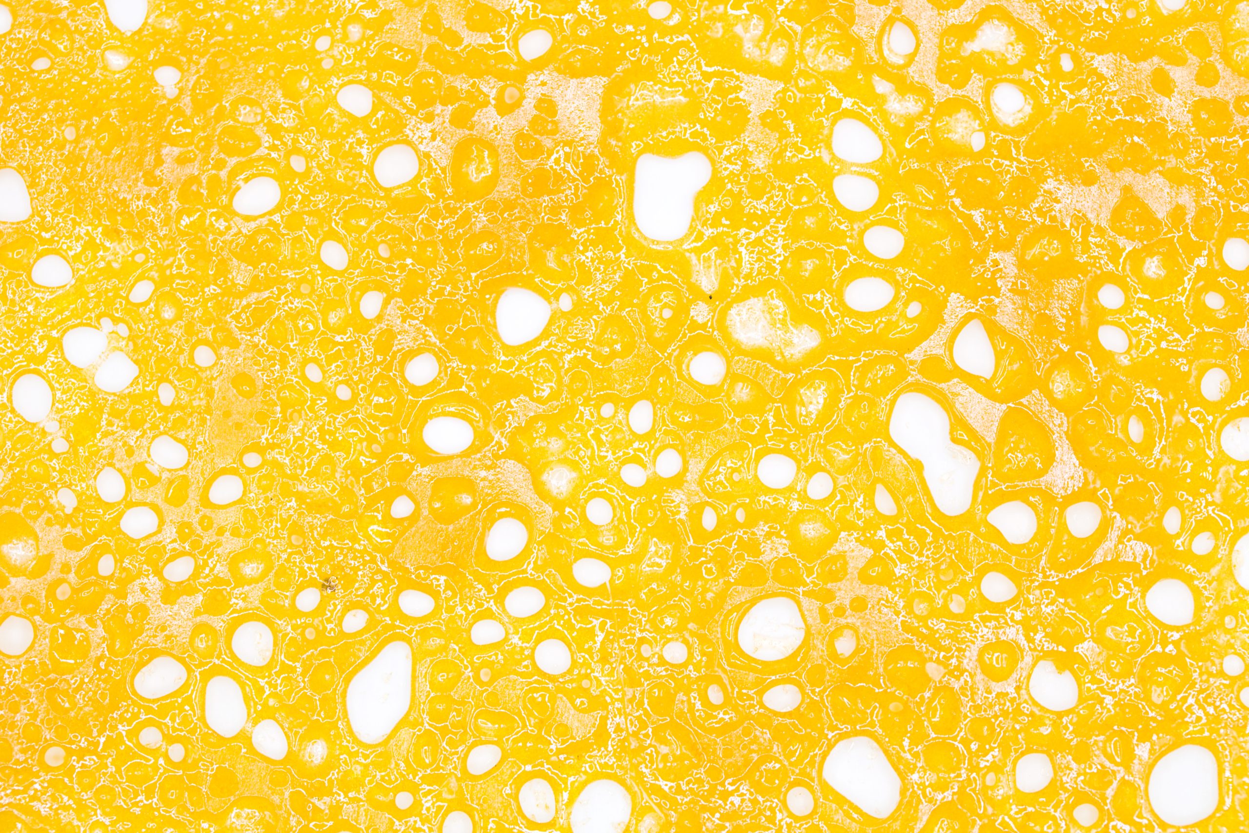 space Cake Shatter scaled 1 Space Cake Shatter