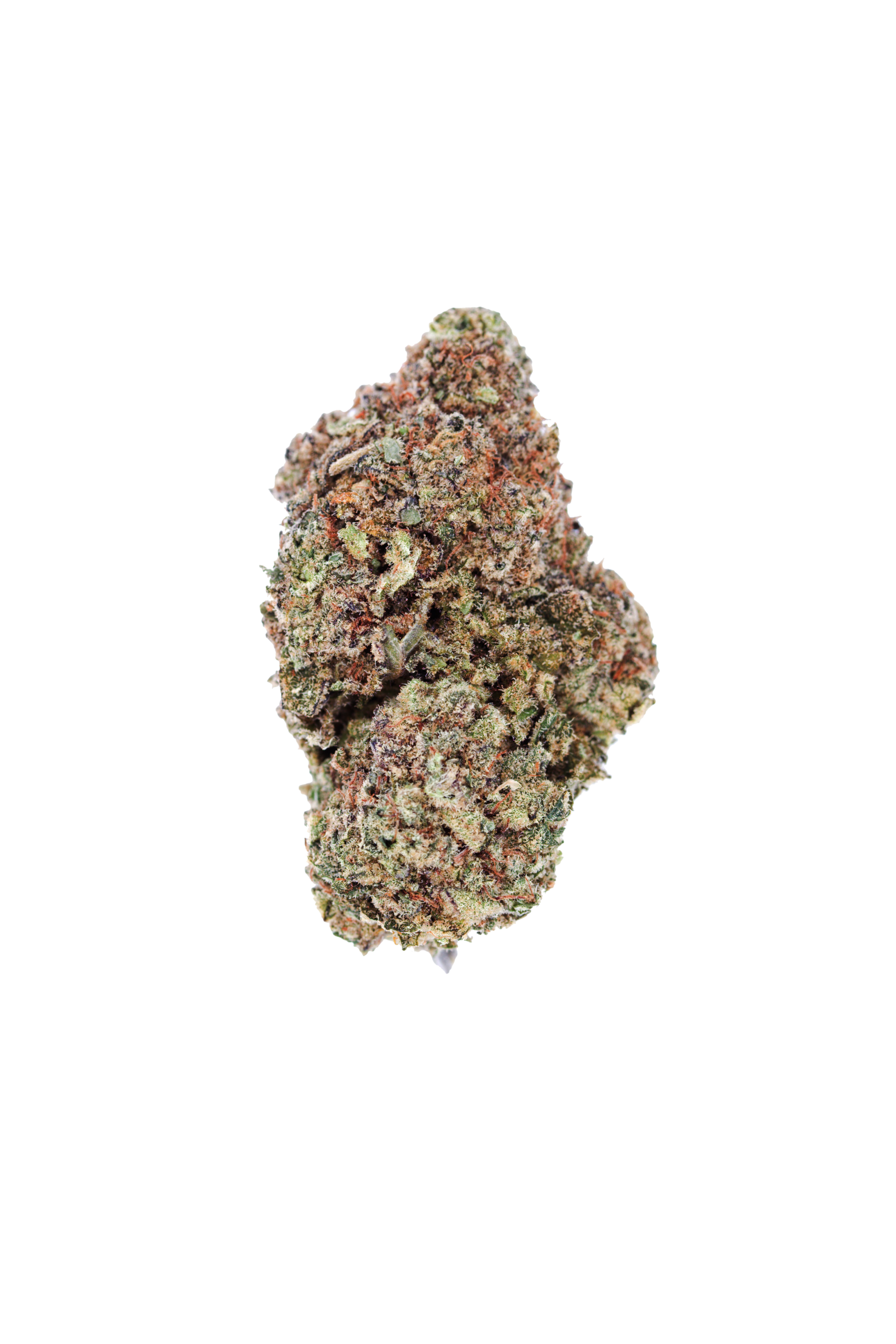 Lemon Cake bud cutout Lemon Cake