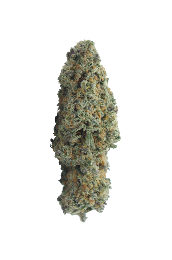Pink Grapefruit bud 1 600x906 1 Pink Grapefruit