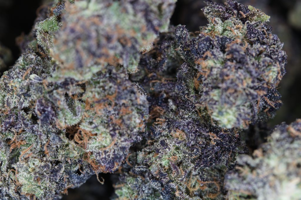 Tropicanna Cookies Bag Tropicanna Cookies