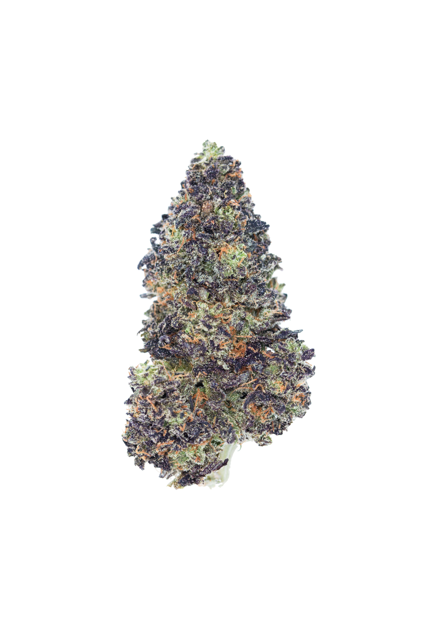 Tropicanna Cookies Tropicanna Cookies