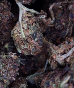 black star zAUCEZ6f