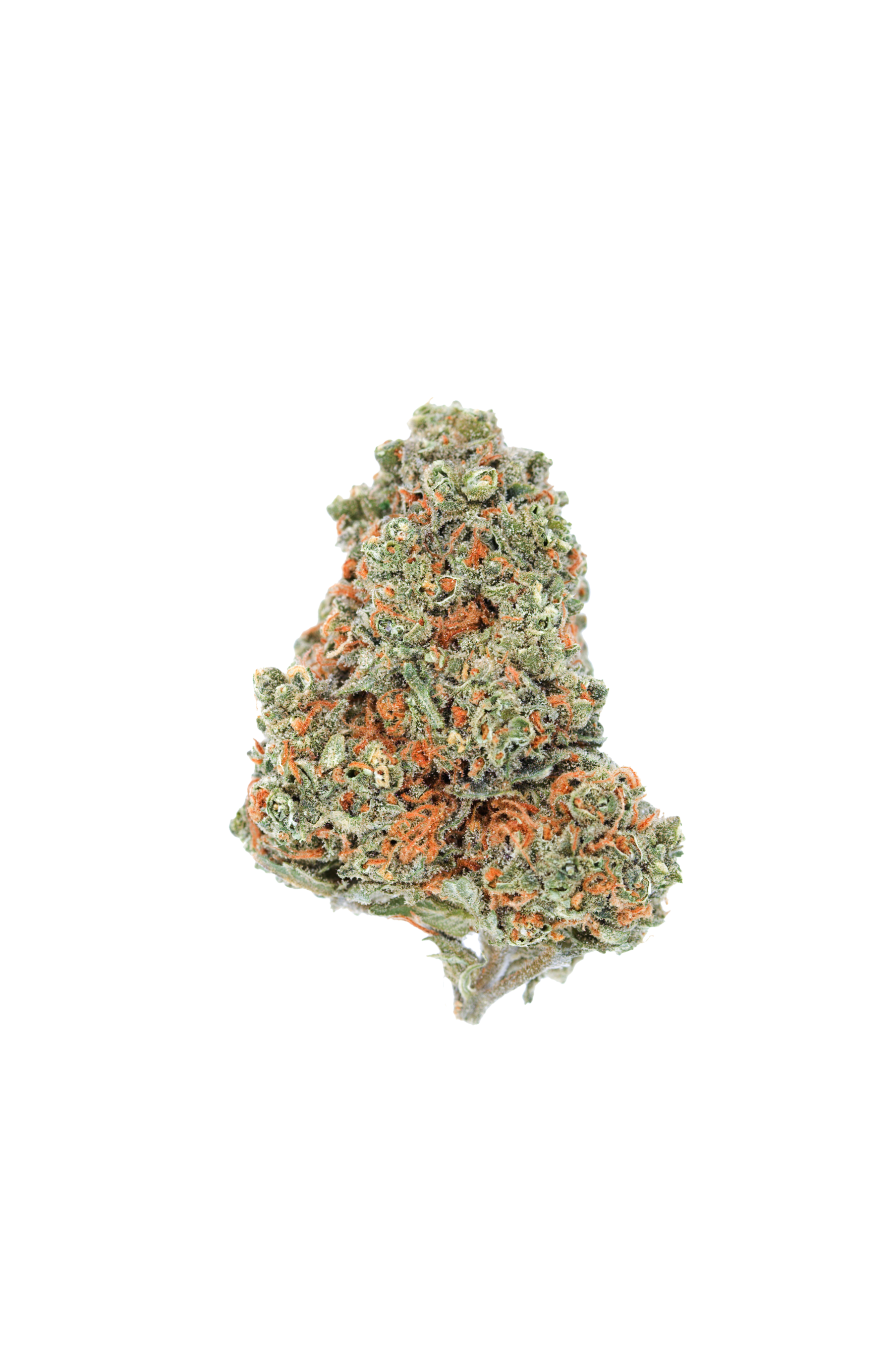 cherry garcia Bc9YYcVB cutout Cherry Garcia