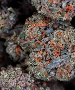 cherry garcia PNeI3IX2 Buy Cherry Garcia Online