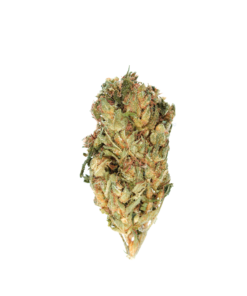 Buy Green Crack Herer