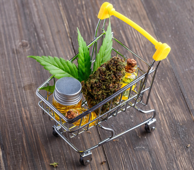 shopping for weed toronto Shop Cannabis Products Delivery in Toronto