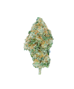 Buy Banana Mac Online