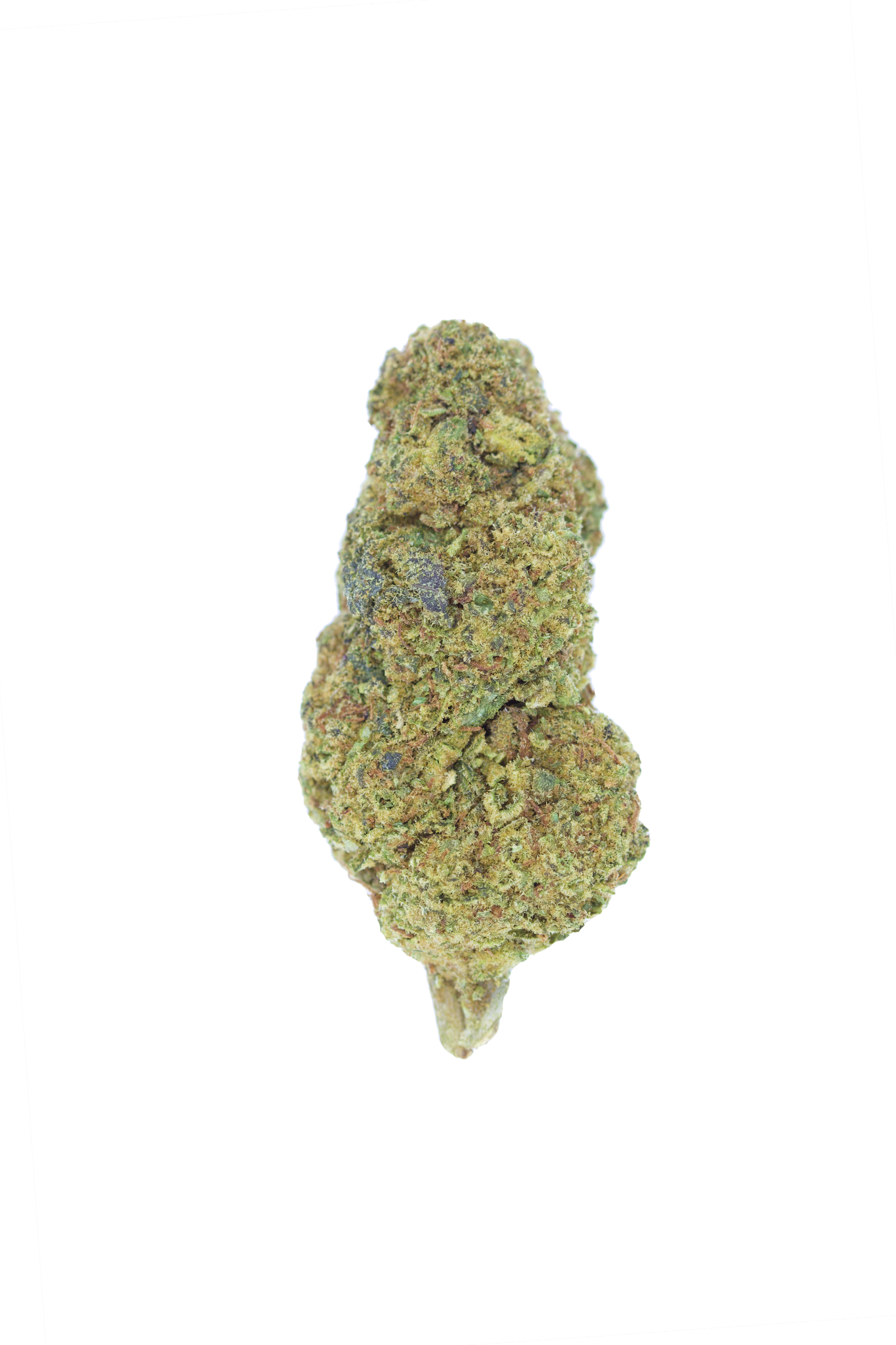 Chocolate Hash Berry Bud Chocolate Hash Berry