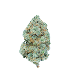 Buy Ghost Train Haze Online