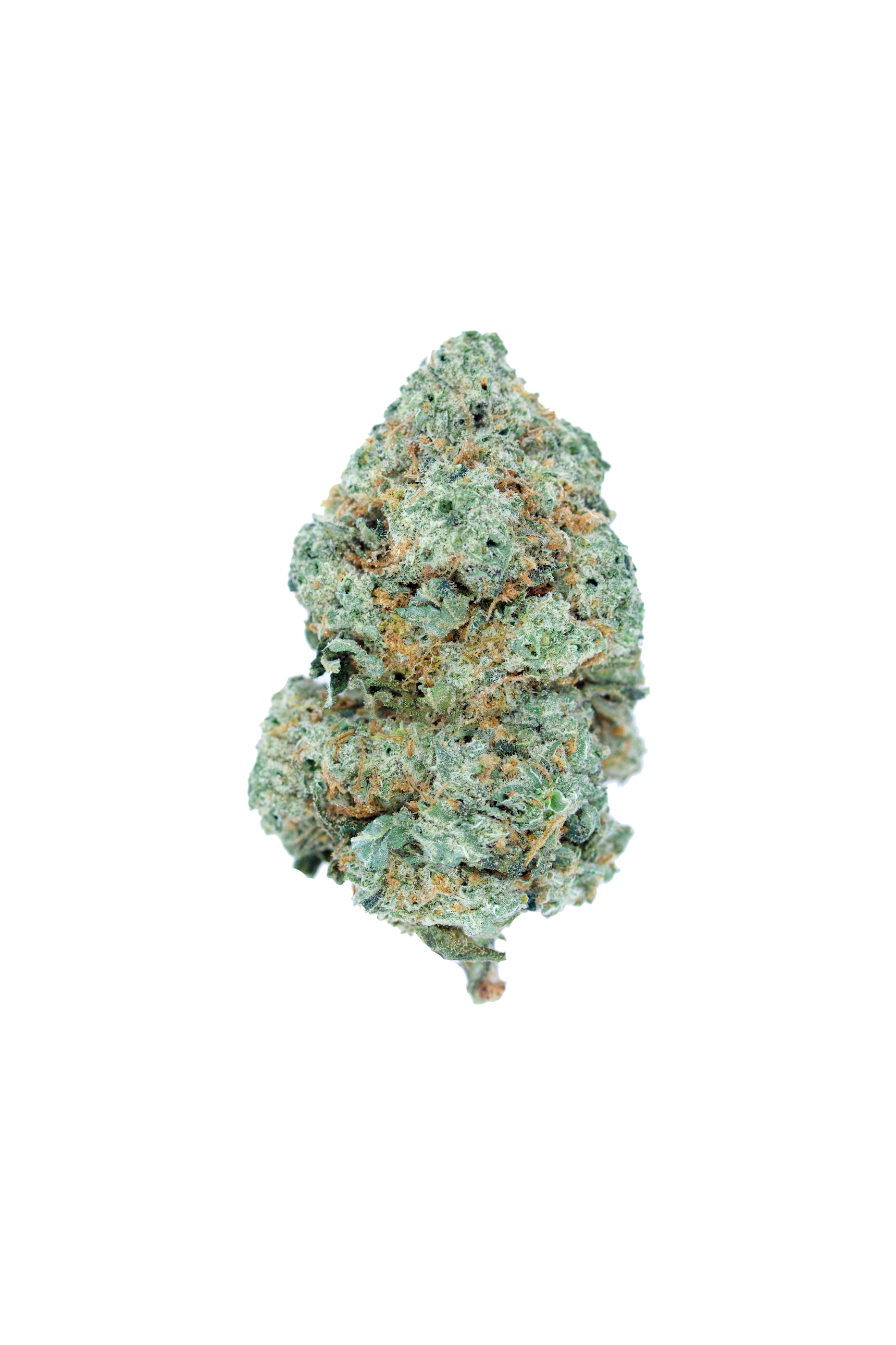 Ghost train haze Ghost Train Haze