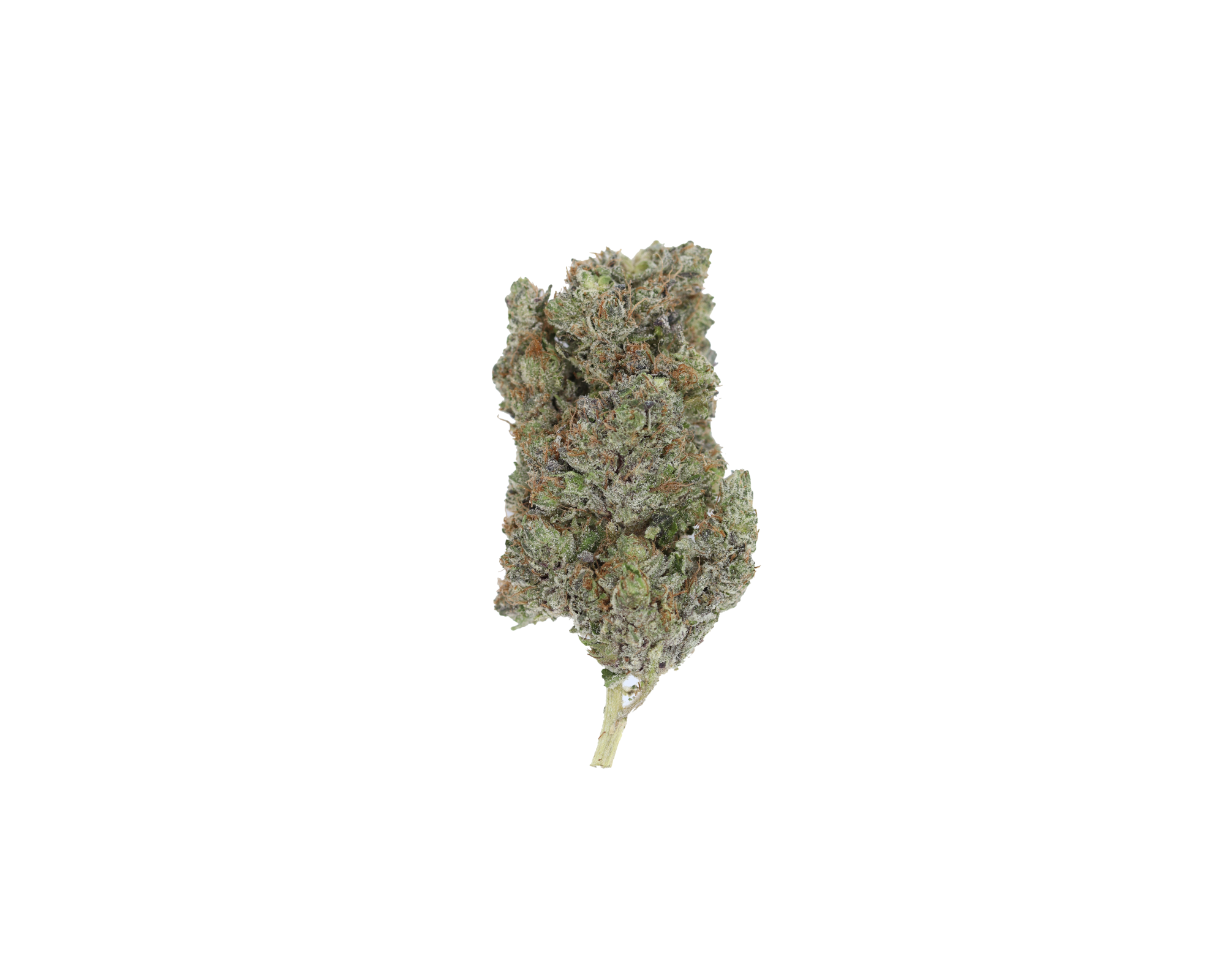 Jelly Breath Nug Hindu Kush