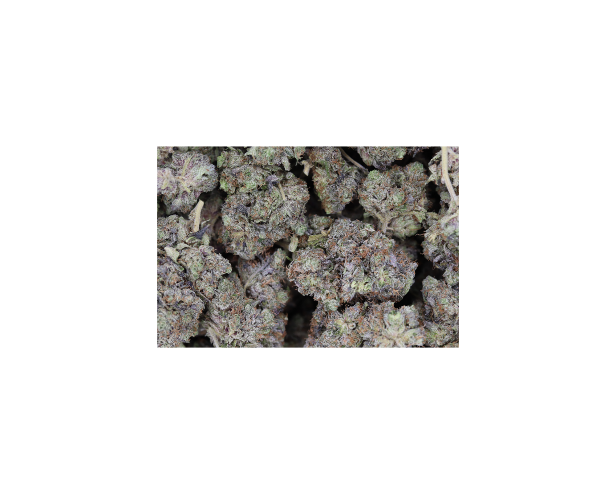 Jelly Breath bag Hindu Kush