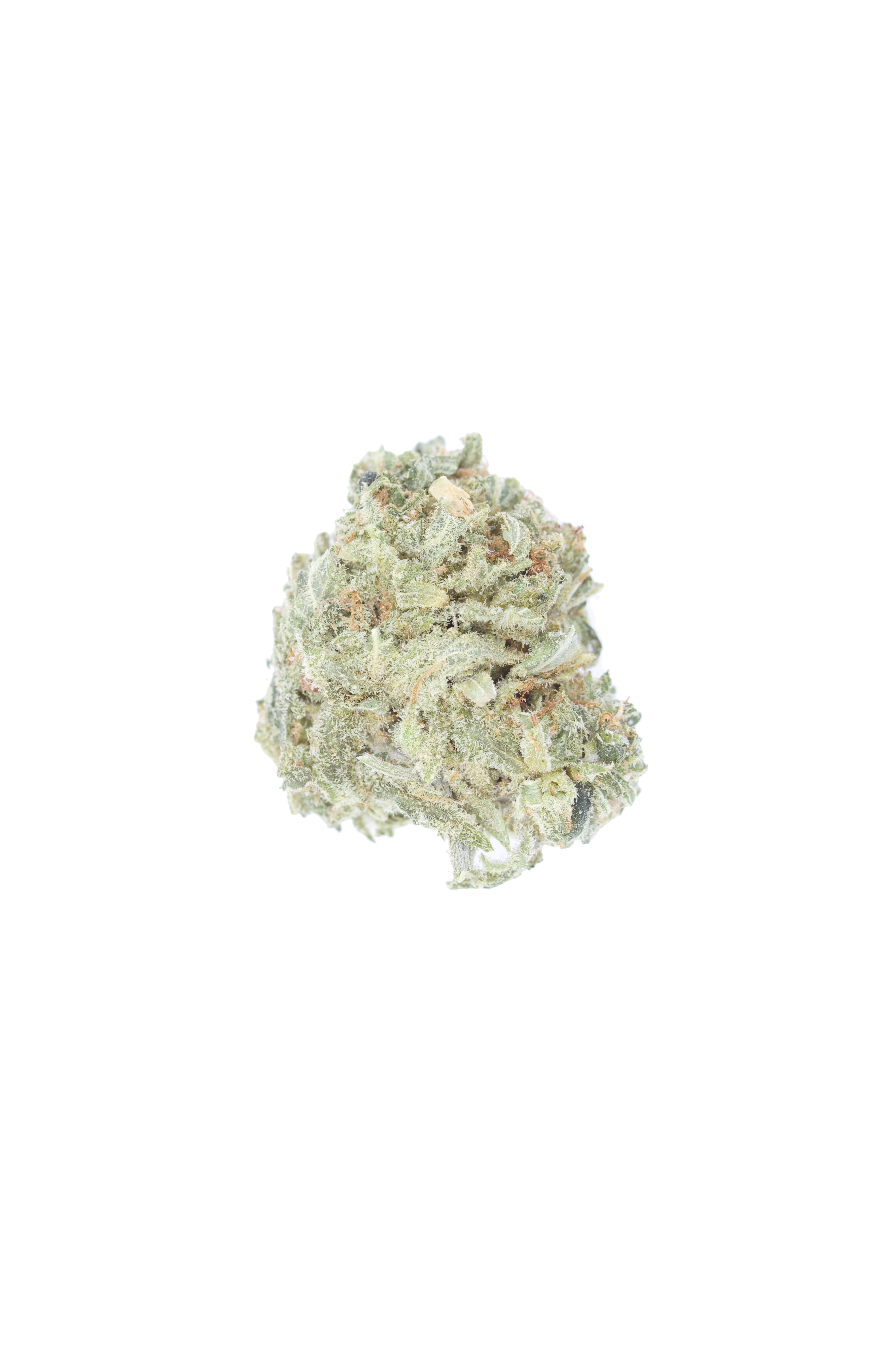 Mint Haze cutout Mint Haze