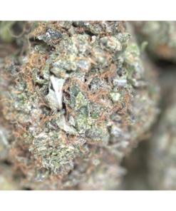 Pink Bubba bag Pink Bubba bag