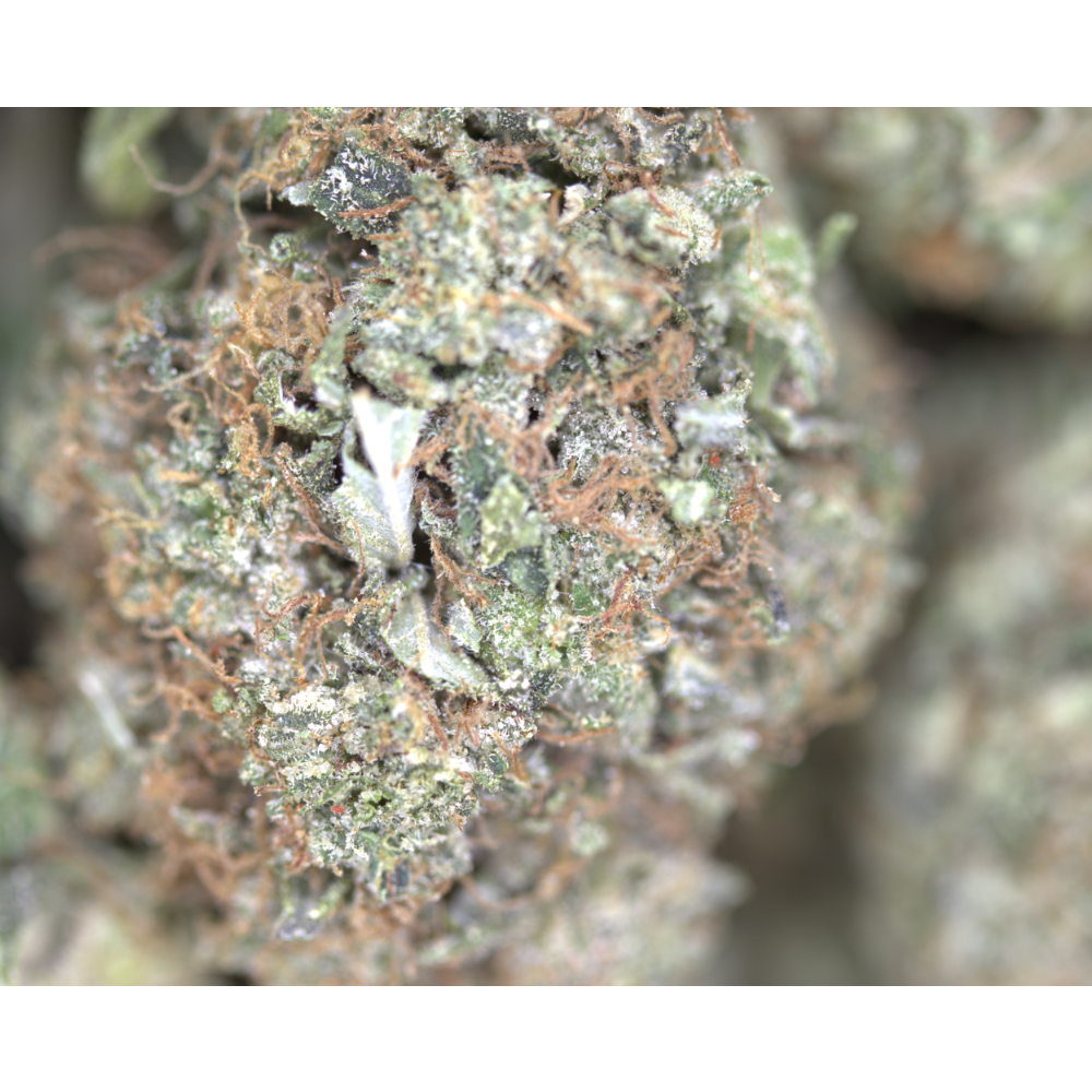 Pink Bubba bag Pink Bubba