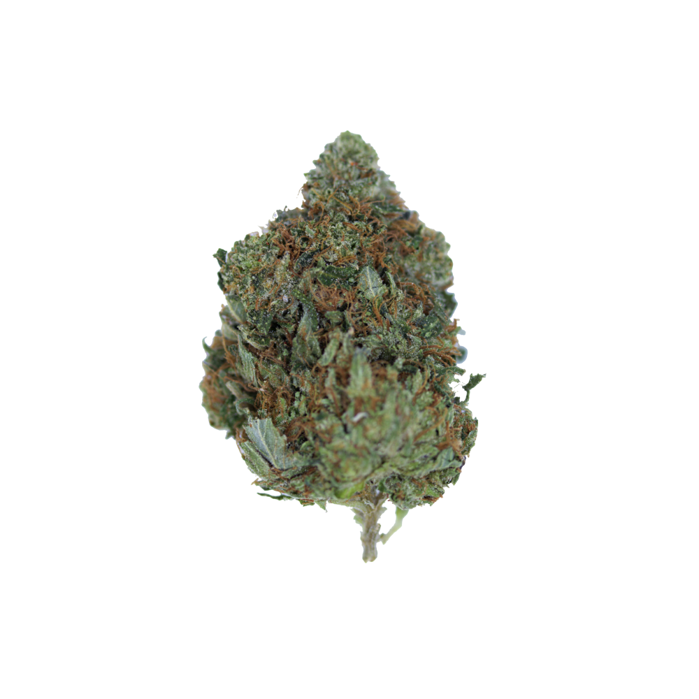 Pink Bubba Pink Bubba