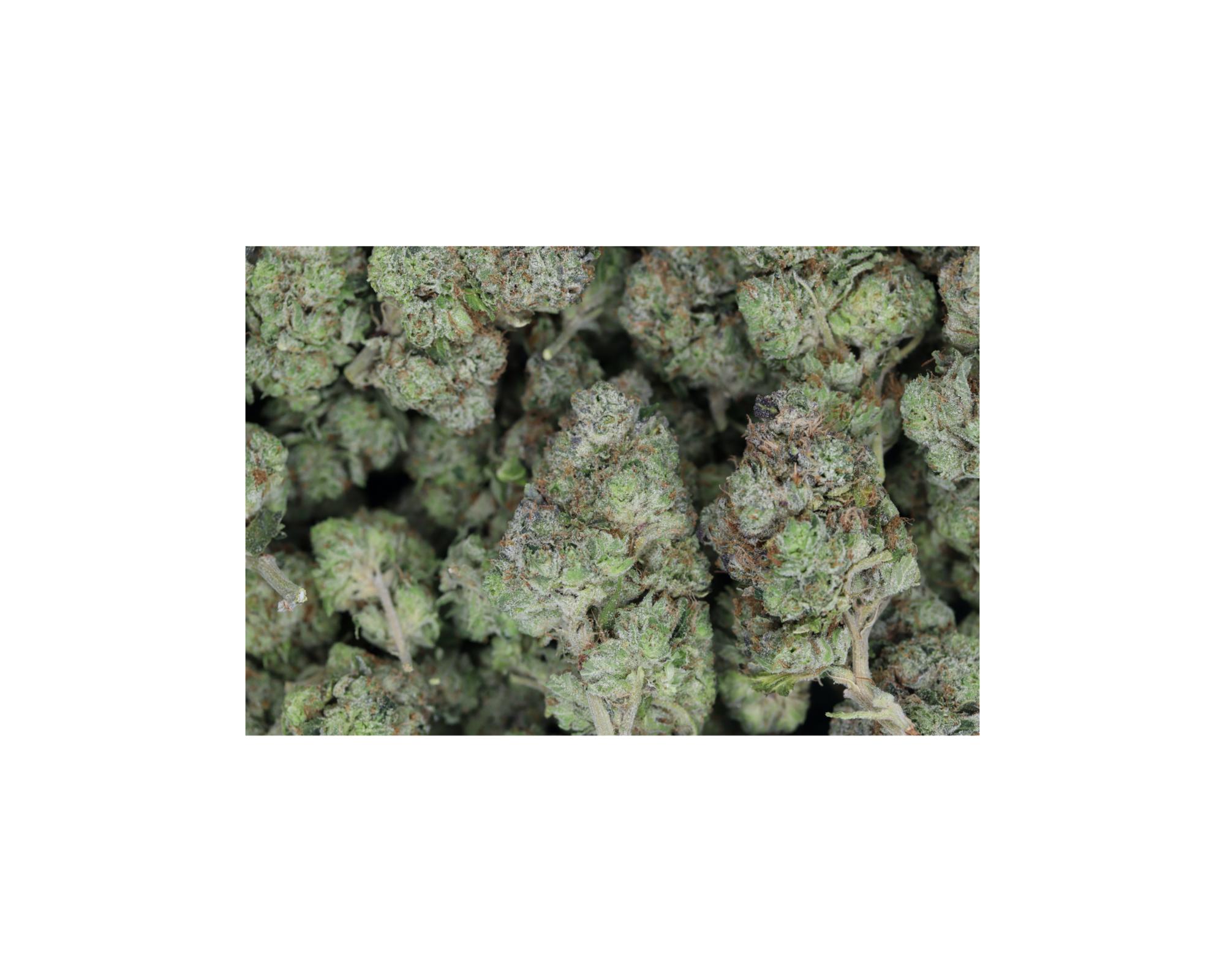 Pink Kush bag Pink Kush