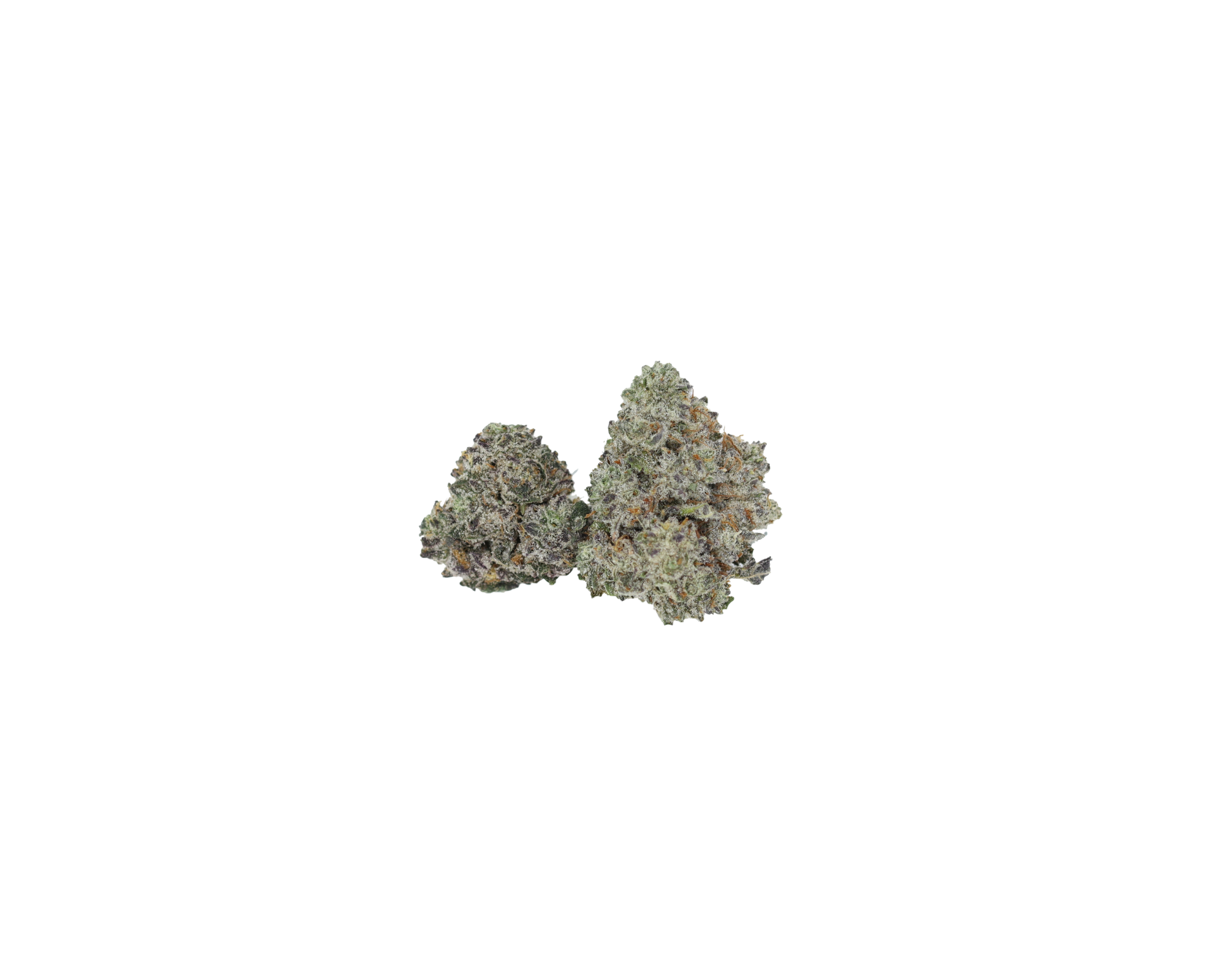 Platinum Pink Nug Platinum Pink Smalls
