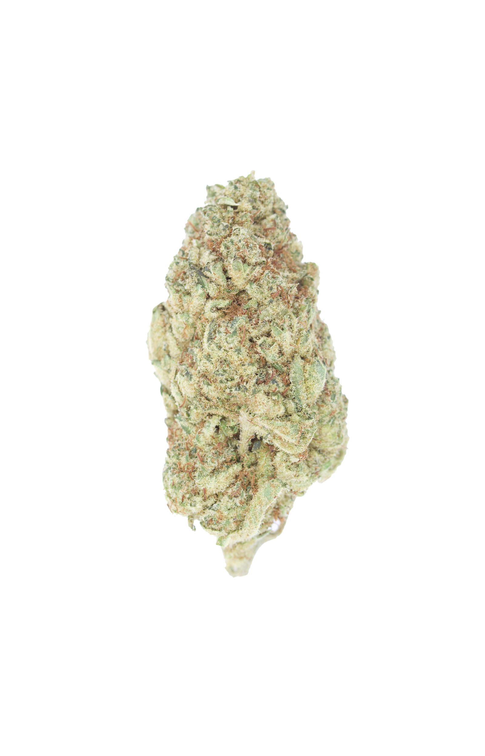 Truffle Butter Truffle Butter