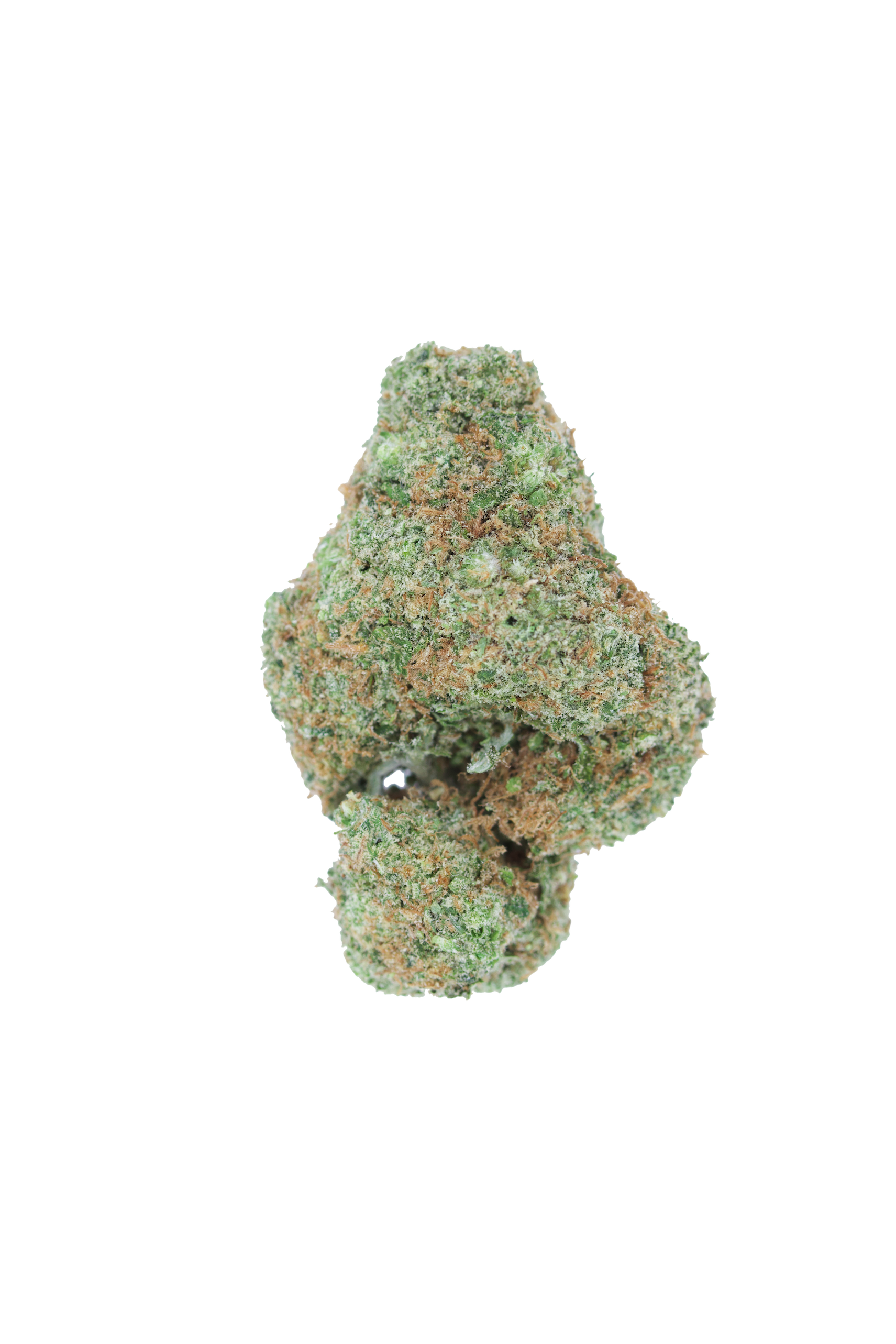 Alien glue cutout Alien Glue