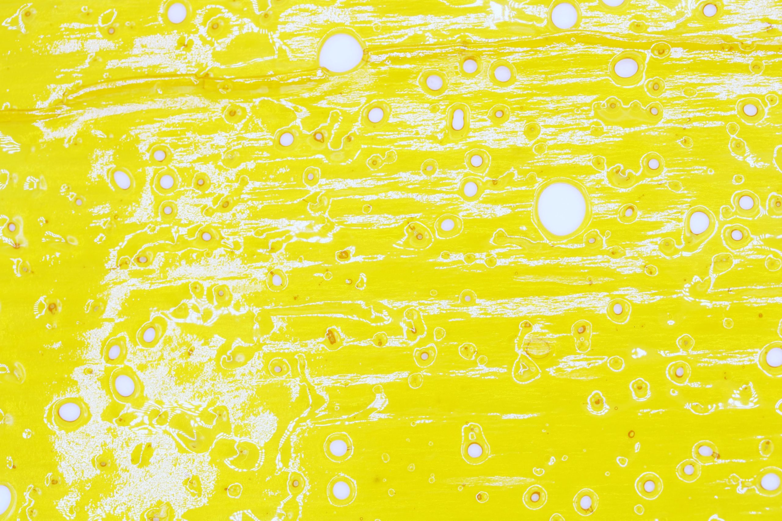 Black tuna shatter 1 scaled 1 Black Tuna Shatter