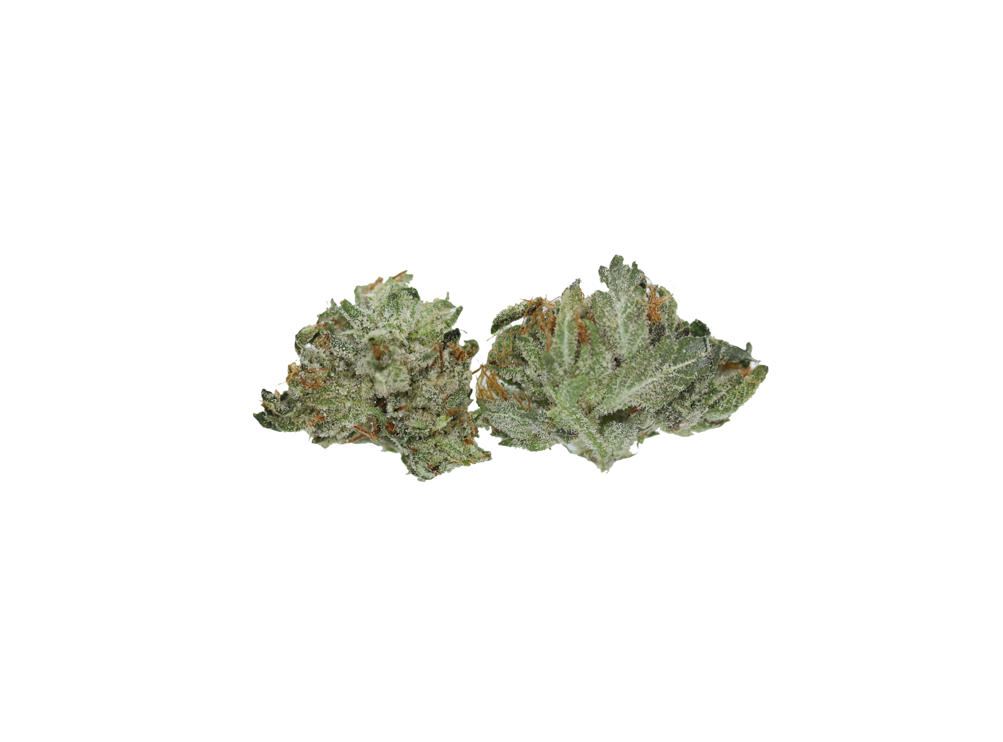 Bubba OG Smalls 1 Bubba OG Smalls