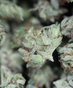 Bubba OG Smalls bag Bubba OG Smalls bag