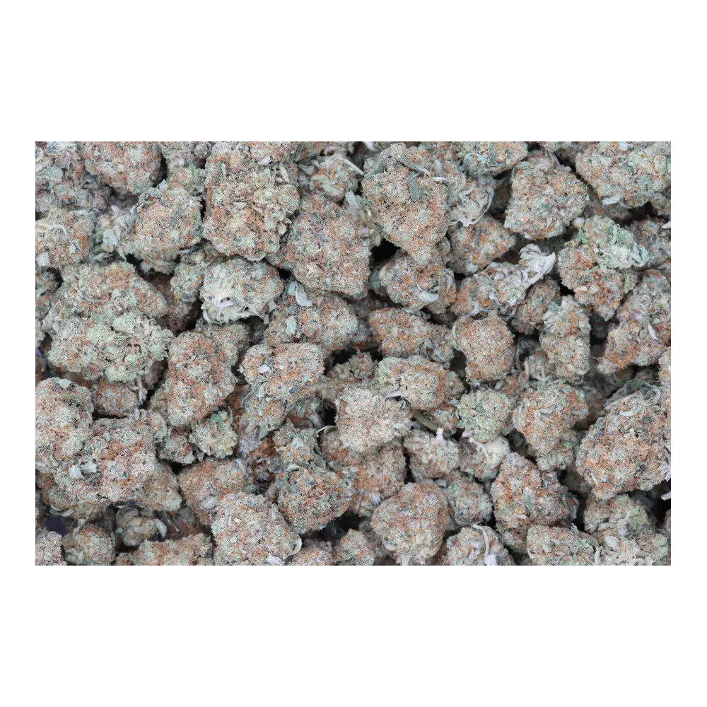 Double OG bag Double OG