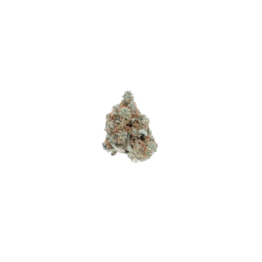 Double OG CBH Double OG