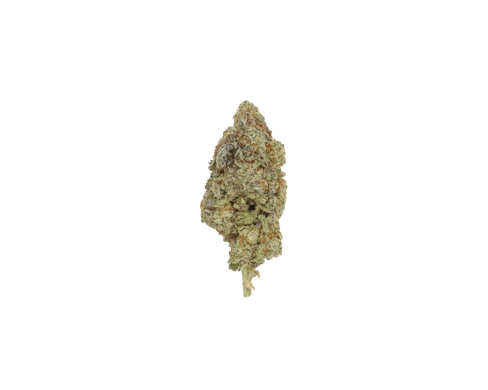 MAC CBH MAC