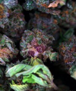 PT smalls bag Buy Space Cookies Smalls Online
