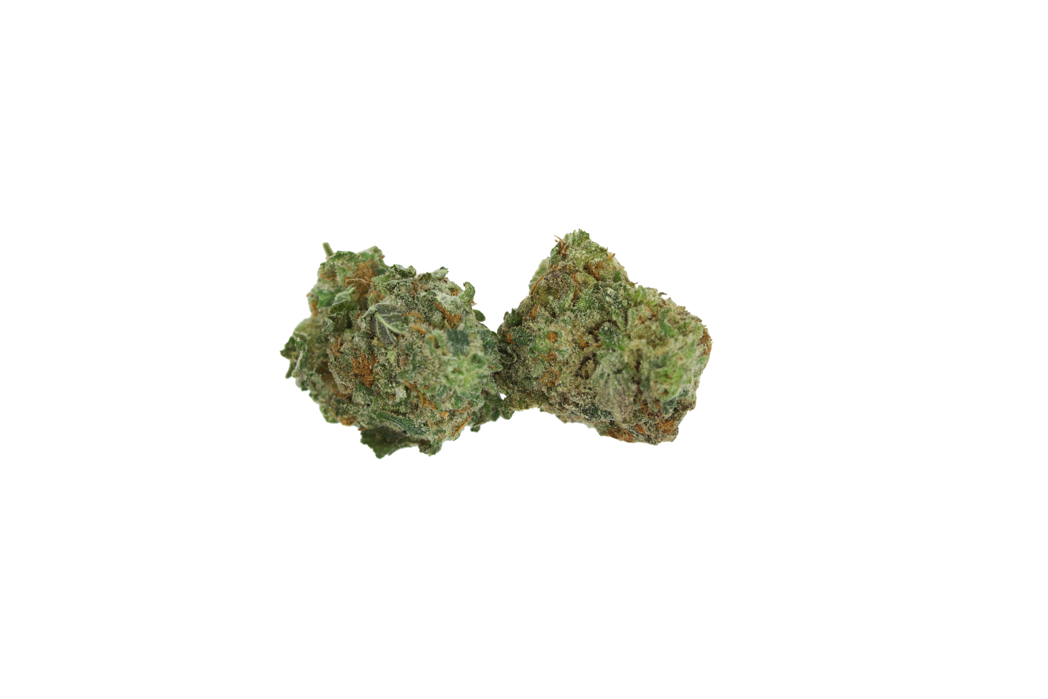 PT smalls Space Cookies