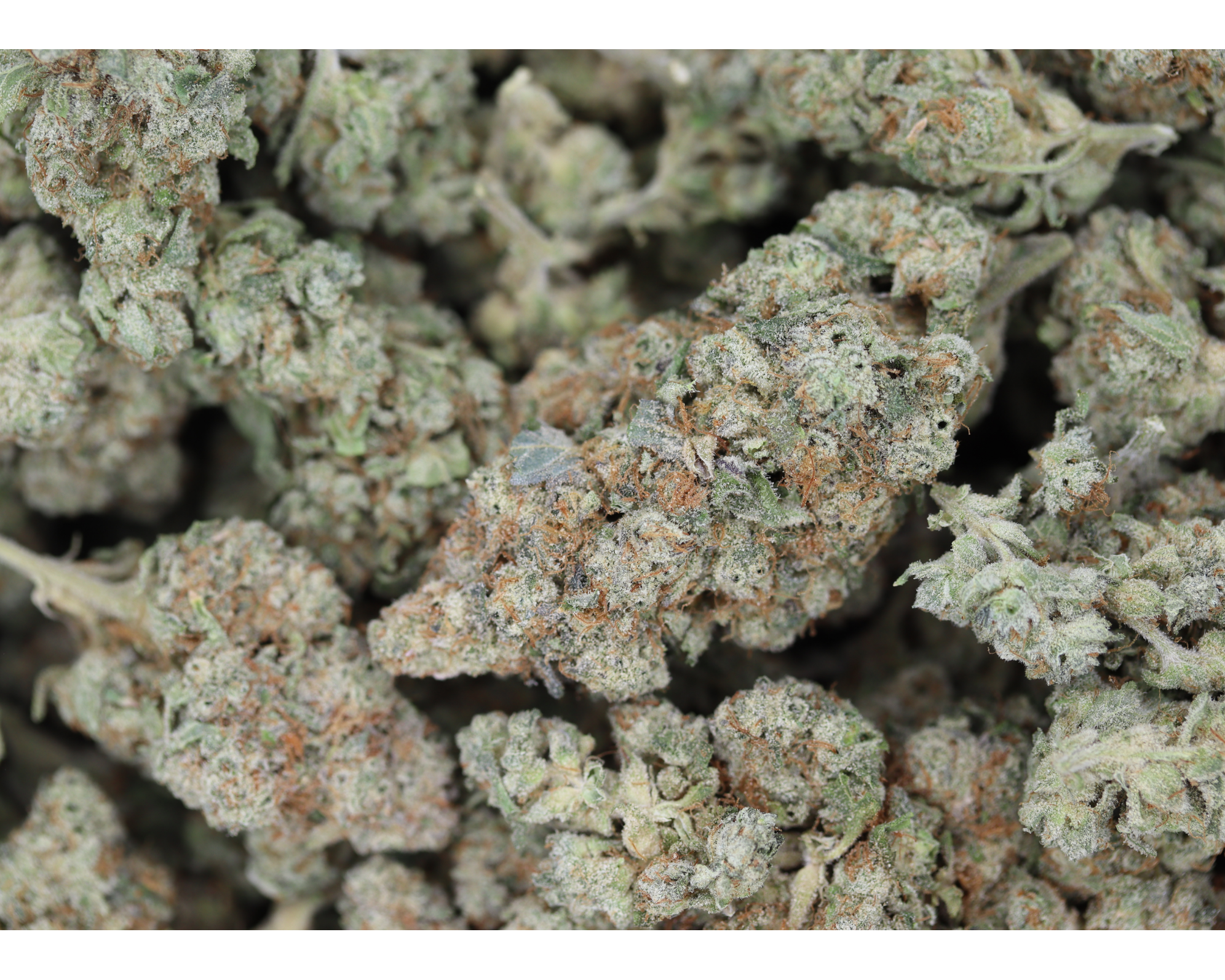 Pineapple Express Bag Pineapple Express