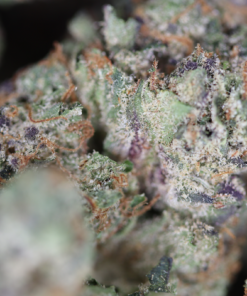 Platinum Bubba Bag Platinum Bubba Bag
